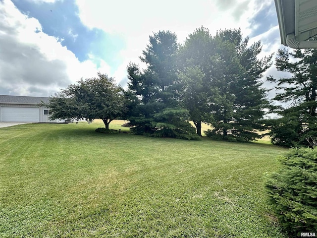 295 County Highway 8, Congerville, IL 61729 - photo 33