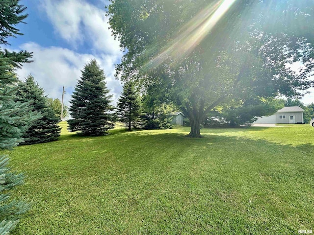 295 County Highway 8, Congerville, IL 61729 - photo 35