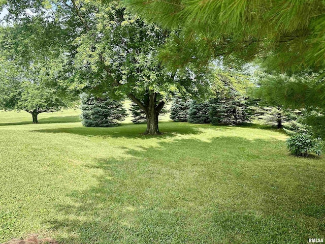 295 County Highway 8, Congerville, IL 61729 - photo 36
