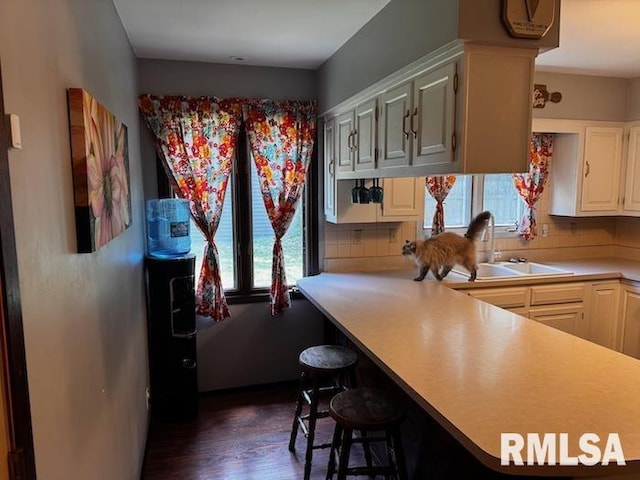 1415 E Sycamore St, Canton, IL 61520 - kitchen with healthy amount of natural light, light countertops, dark wood-style flooring, and a kitchen bar