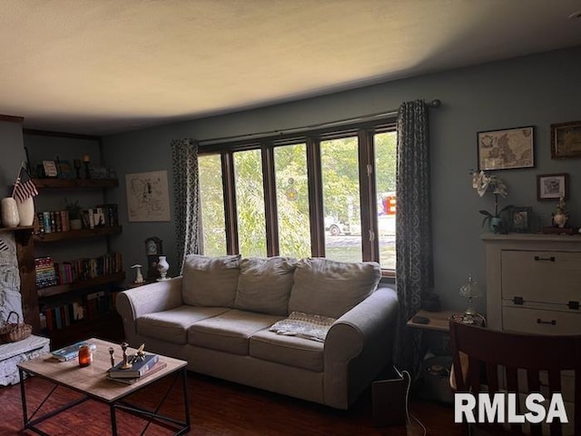 1415 E Sycamore St, Canton, IL 61520 - living room featuring wood finished floors