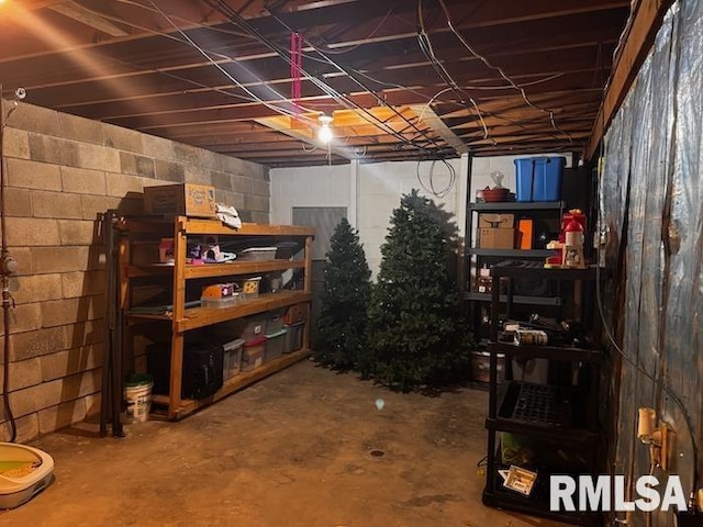 1415 E Sycamore St, Canton, IL 61520 - view of unfinished basement