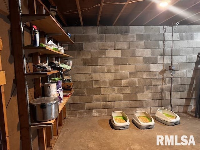 1415 E Sycamore St, Canton, IL 61520 - view of storage room