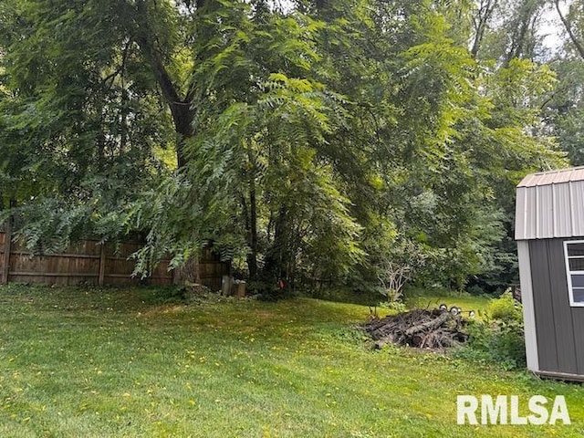 1415 E Sycamore St, Canton, IL 61520 - view of yard
