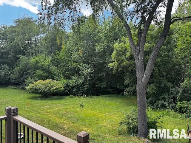 1415 E Sycamore St, Canton, IL 61520 - view of grassy yard