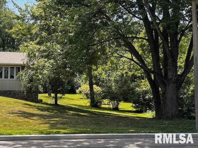 1415 E Sycamore St, Canton, IL 61520 - view of green lawn