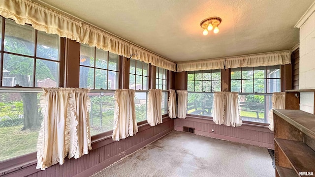 1113 N Summit Blvd, Peoria, IL 61606 - unfurnished sunroom with healthy amount of natural light, carpet flooring, a textured ceiling, and wood walls