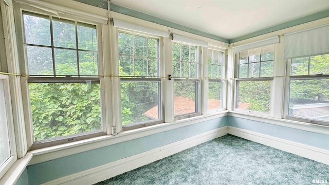 1113 N Summit Blvd, Peoria, IL 61606 - unfurnished sunroom with carpet floors