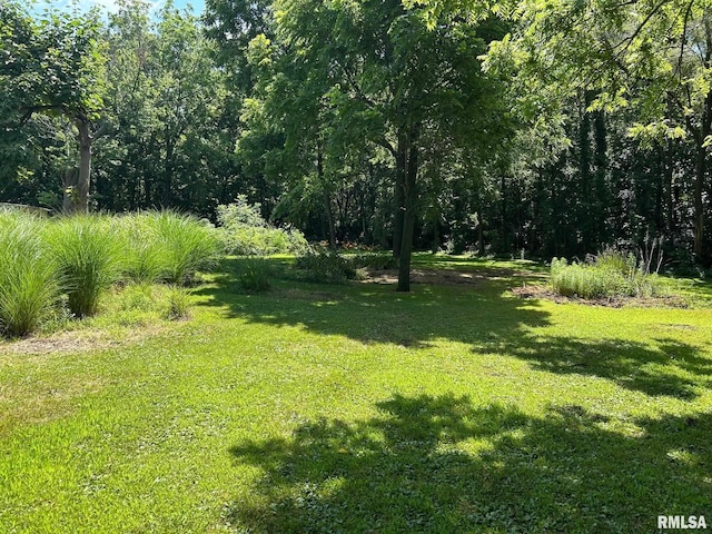 728 Hanna Dr, Pekin, IL 61554 - view of grassy yard with a wooded view
