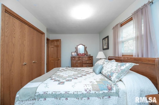 1701 Woodland Knolls Rd, Metamora, IL 61548 - bedroom featuring a closet