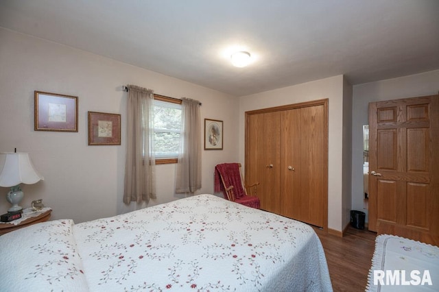 1701 Woodland Knolls Rd, Metamora, IL 61548 - bedroom with wood finished floors and a closet