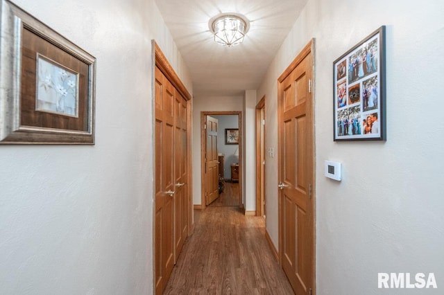 1701 Woodland Knolls Rd, Metamora, IL 61548 - corridor with wood finished floors and baseboards