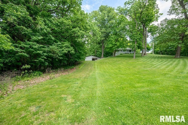 1701 Woodland Knolls Rd, Metamora, IL 61548 - view of grassy yard with an outdoor structure