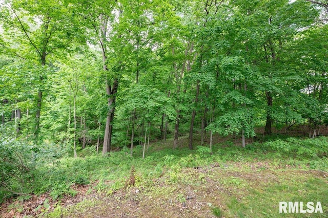 1701 Woodland Knolls Rd, Metamora, IL 61548 - view of tree filled area