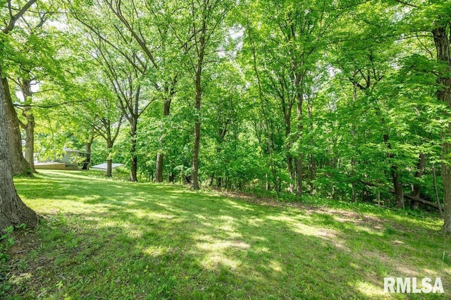1701 Woodland Knolls Rd, Metamora, IL 61548 - view of green lawn with a forest view
