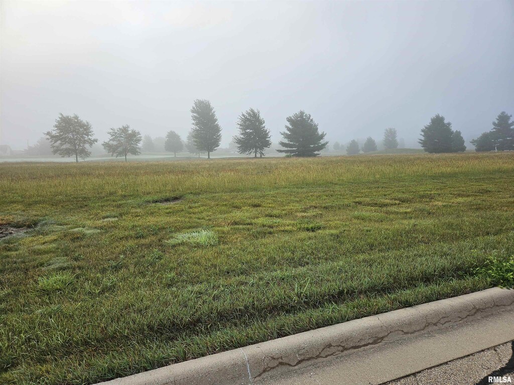 817 Harmon Ln, Metamora, IL 61548