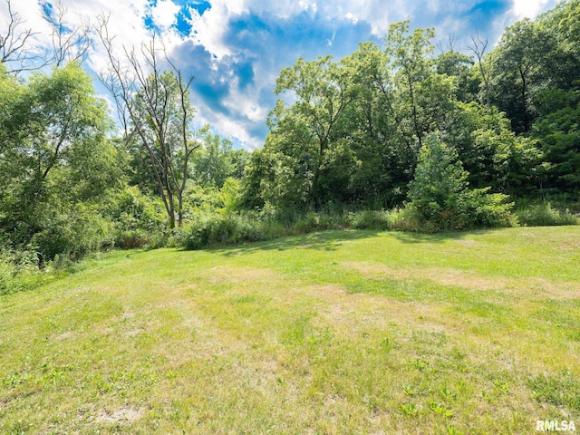 797 State Route 29th Hwy, Sparland, IL 61565 - view of grassy yard with a wooded view