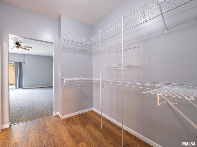 797 State Route 29th Hwy, Sparland, IL 61565 - walk in closet featuring wood finished floors and ceiling fan