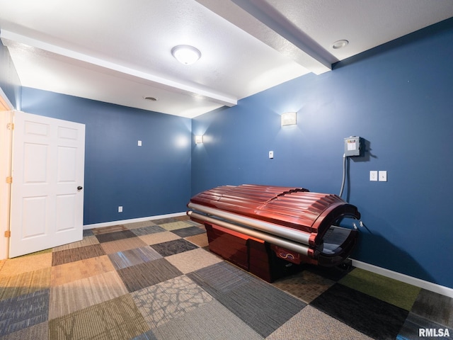 797 State Route 29th Hwy, Sparland, IL 61565 - miscellaneous room with beam ceiling and carpet