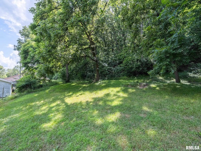797 State Route 29th Hwy, Sparland, IL 61565 - view of green lawn