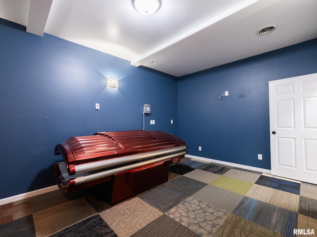 797 State Route 29th Hwy, Sparland, IL 61565 - miscellaneous room featuring baseboards and carpet floors