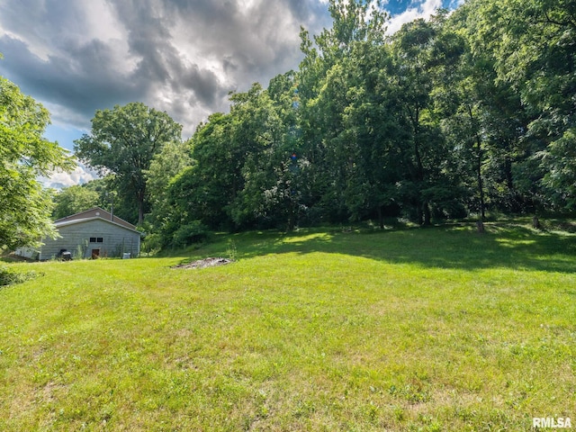 797 State Route 29th Hwy, Sparland, IL 61565 - view of grassy yard