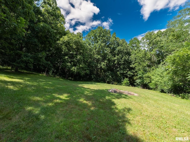 797 State Route 29th Hwy, Sparland, IL 61565 - view of green lawn featuring a view of trees