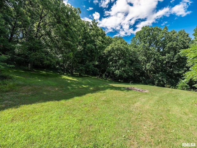 797 State Route 29th Hwy, Sparland, IL 61565 - view of grassy yard with a forest view