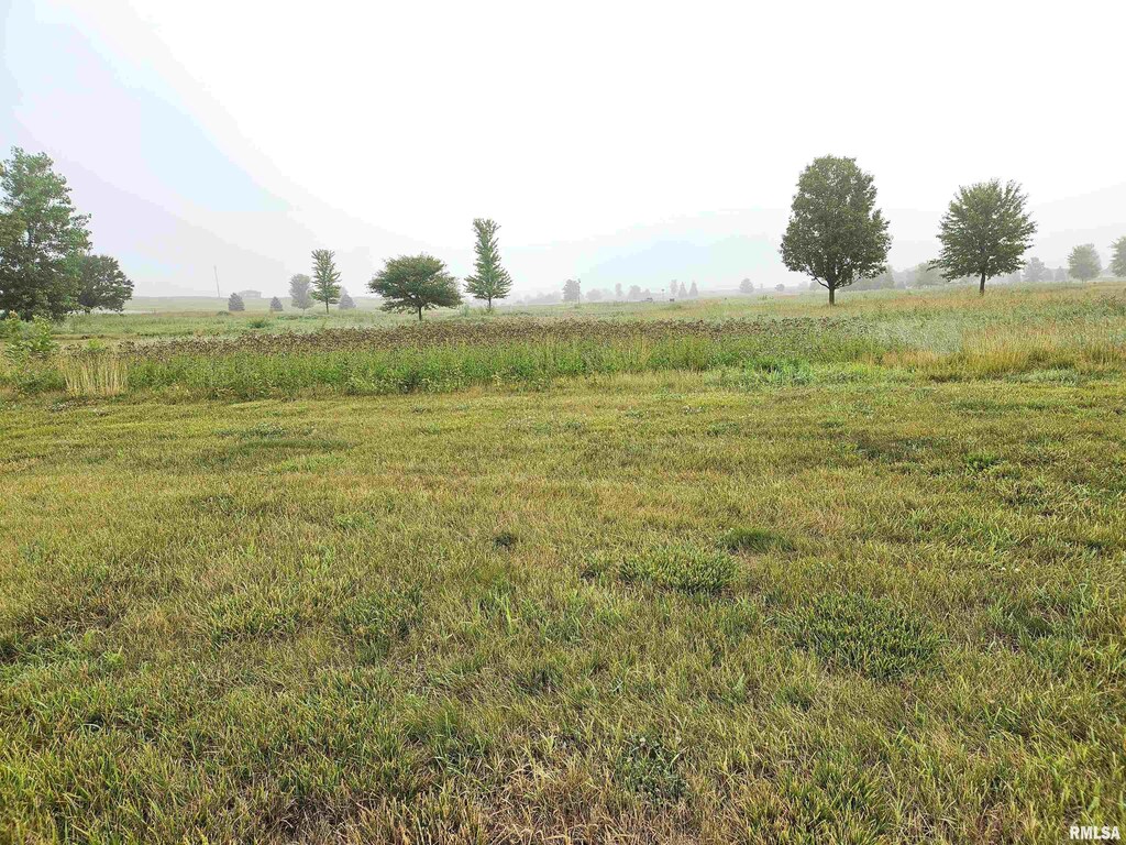 1002 Ring Dr, Metamora, IL 61548