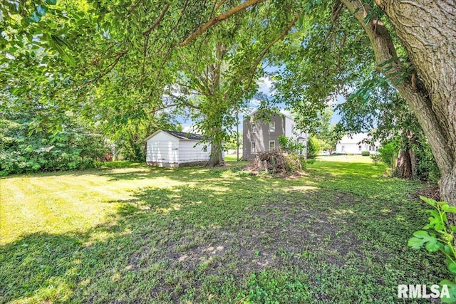 310 W Martin St, Abingdon, IL 61410 - view of grassy yard