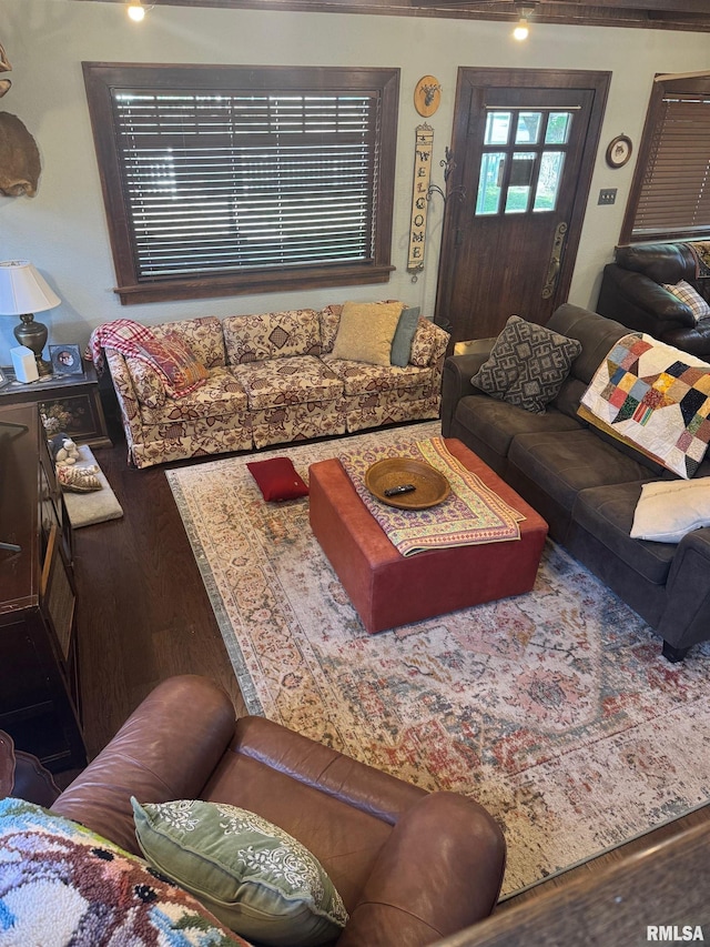 994 N Crafford St, Bushnell, IL 61422 - living room featuring wood finished floors