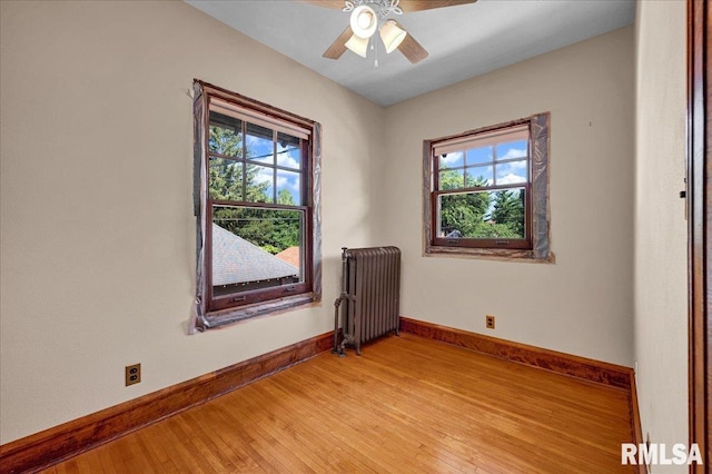 1027 N Maplewood Ave, Peoria, IL 61606 - empty room featuring radiator, light wood-style floors, plenty of natural light, and ceiling fan