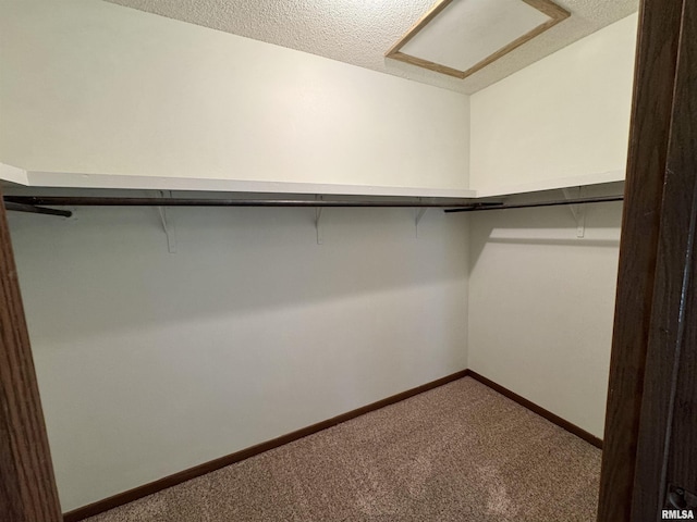 2001 W Jackson St Unit C, Macomb, IL 61455 - walk in closet with attic access and carpet