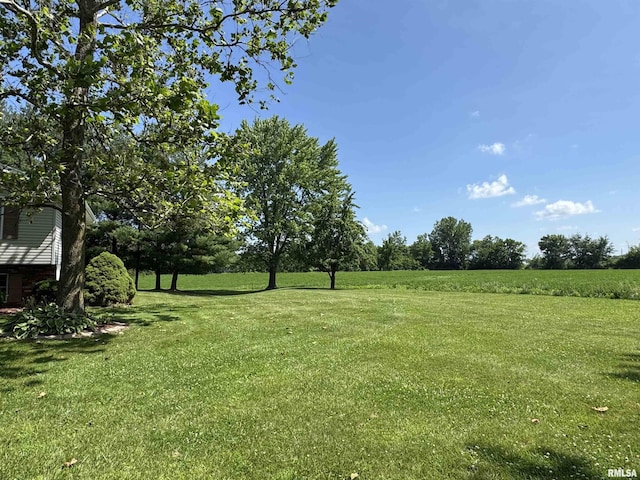 2001 W Jackson St Unit C, Macomb, IL 61455 - view of green lawn