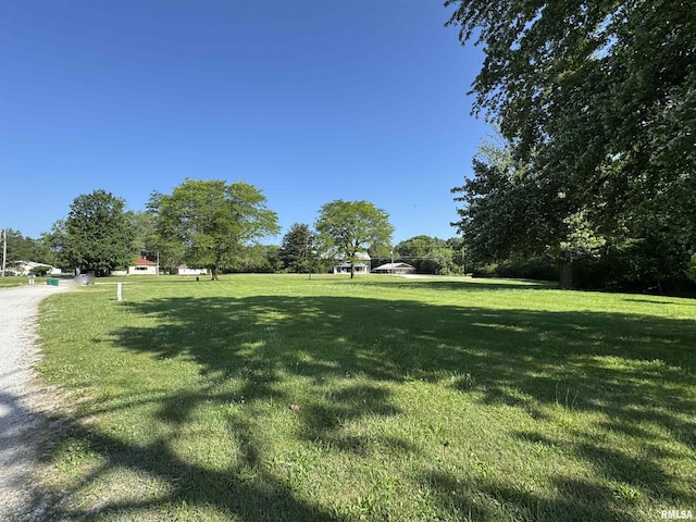 2001 W Jackson St Unit C, Macomb, IL 61455 - view of grassy yard