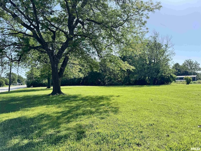 2001 W Jackson St Unit C, Macomb, IL 61455 - view of grassy yard