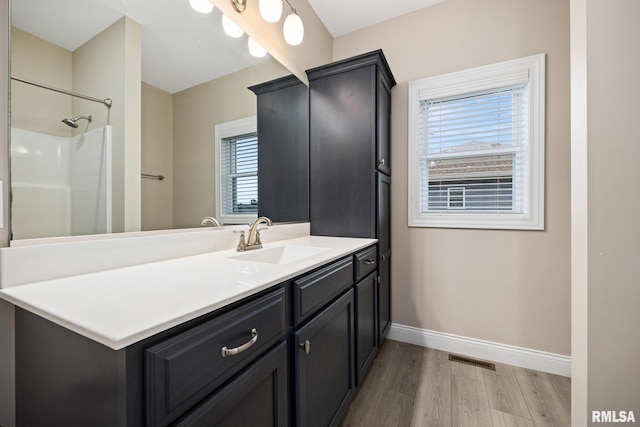 109 E Lee St, Tremont, IL 61568 - bathroom featuring wood finished floors, vanity, and a shower