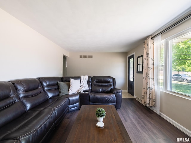 1100 Hampton Rd, Washington, IL 61571 - living room featuring dark wood-type flooring and plenty of natural light