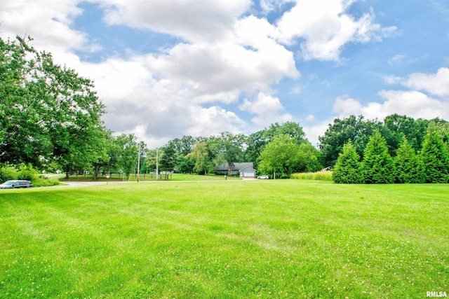 499 Goodsill Dr, East Galesburg, IL 61430 - view of green lawn with view of wooded area
