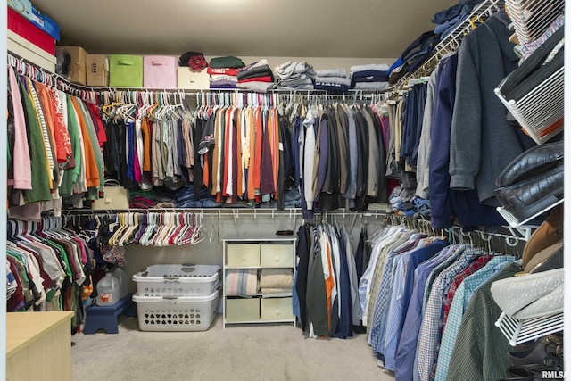 10615 N Collett Rd, Peoria, IL 61615 - spacious closet with carpet