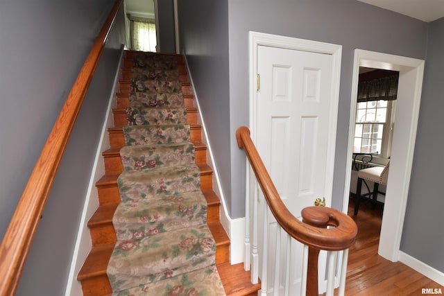 234 E Edgewood St, Morton, IL 61550 - photo 44