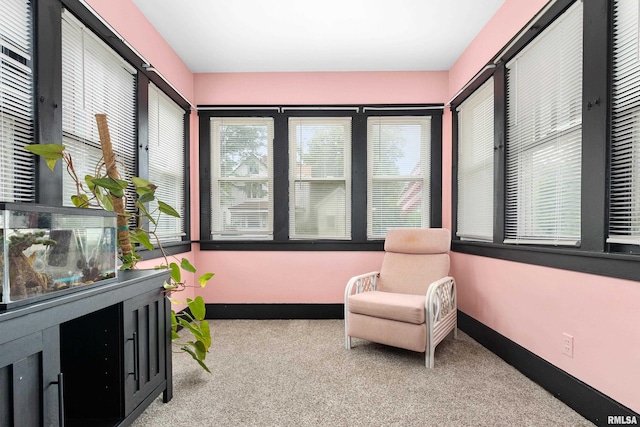 809 S Sumner Ave, Peoria, IL 61605 - photo 11