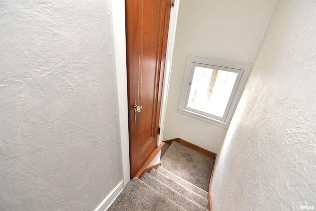 300 E Embert Pl, Peoria, IL 61603 - stairs with carpet and a textured wall