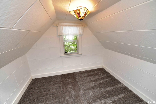 300 E Embert Pl, Peoria, IL 61603 - additional living space with dark colored carpet and lofted ceiling