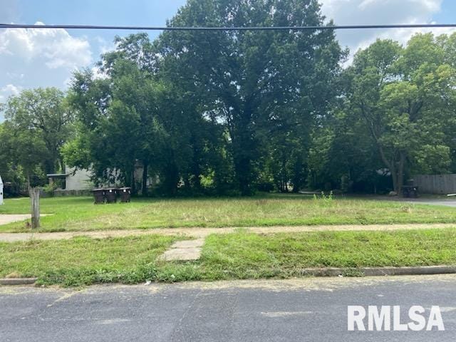 710 W Armstrong Ave, Peoria, IL 61606 - photo 1