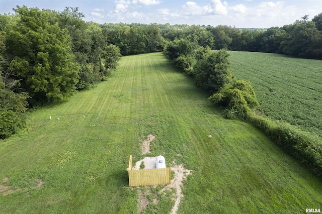 9034 S Powell Rd, Bartonville, IL 61607 - photo 22