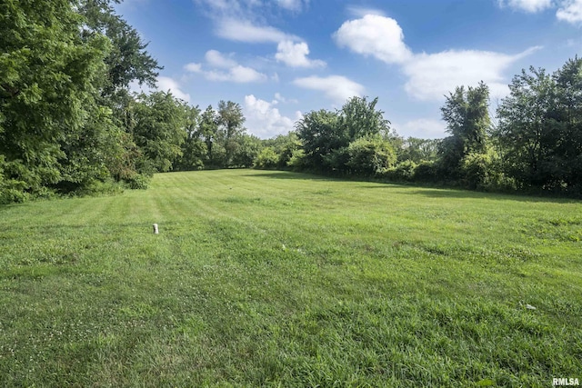 9034 S Powell Rd, Bartonville, IL 61607 - photo 31