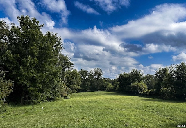 9034 S Powell Rd, Bartonville, IL 61607 - photo 32