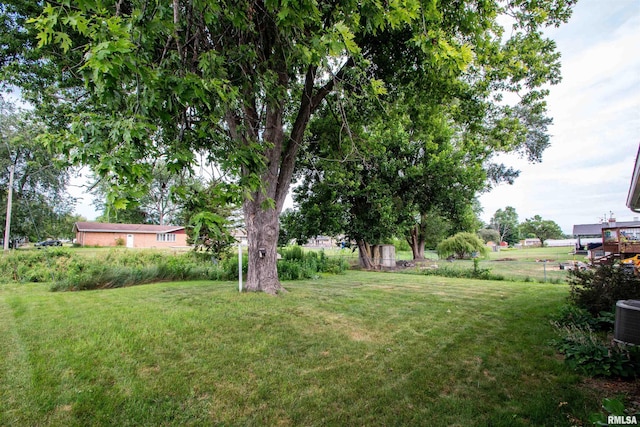 339 N Dr, Morton, IL 61550 - view of yard