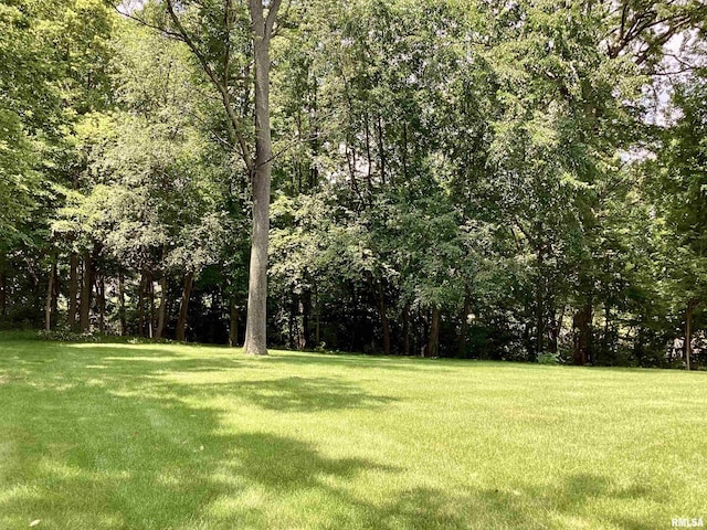 7612 W Thornridge Dr, Mapleton, IL 61547 - photo 11